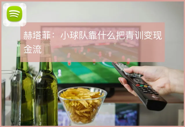 赫塔菲：小球队靠什么把青训变现金流