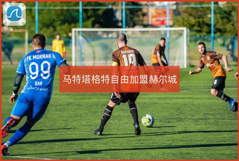 马特塔格特自由加盟赫尔城