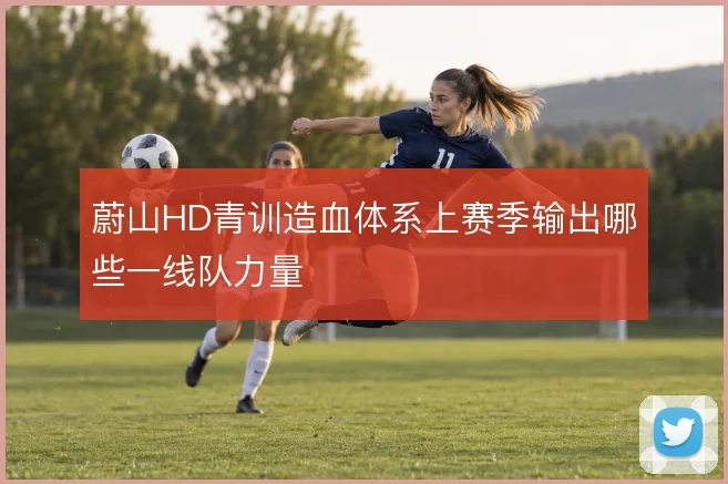 蔚山HD青训造血体系上赛季输出哪些一线队力量